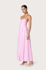 Talia Pintuck Linen Maxi Dress in Slipper