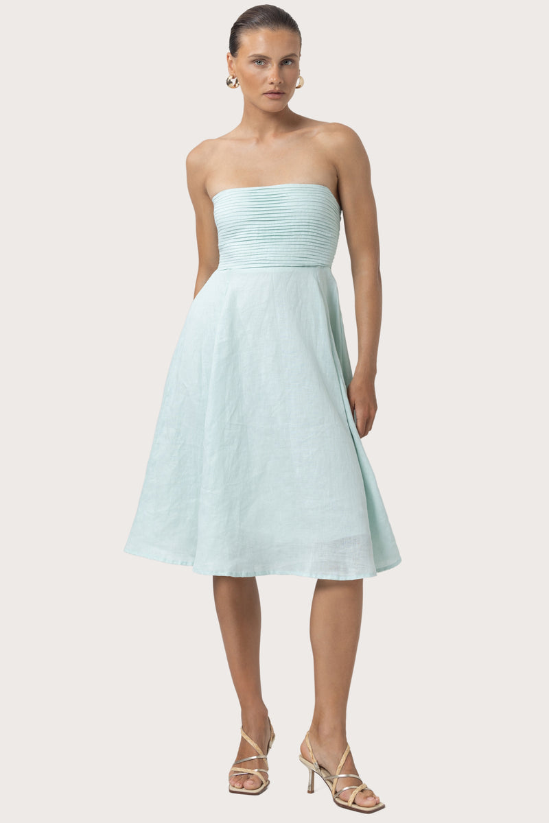 Daisey Strapless Linen Midi Dress in Shimmer