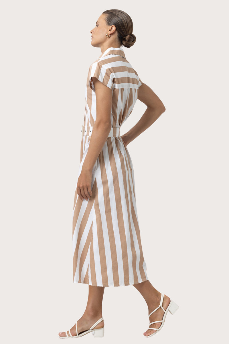 Cindy Poplin Dress in Halo Stripe