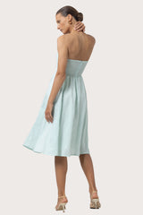 Daisey Strapless Linen Midi Dress in Shimmer