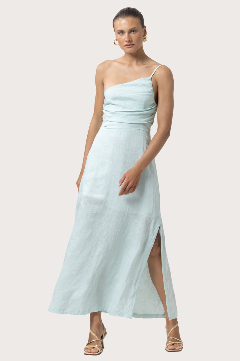 Poppy Linen Maxi Dress in Shimmer