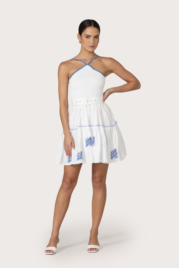 Arlen Mini Dress in Riley Embroidery