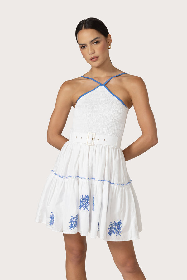 Arlen Mini Dress in Riley Embroidery
