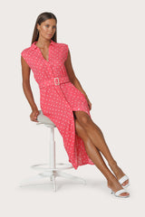Chloe Belted Linen Shirt Dress in French Spot