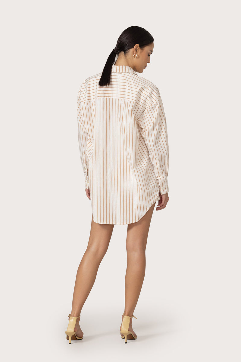 Sol Shirt in Neutral Stripe