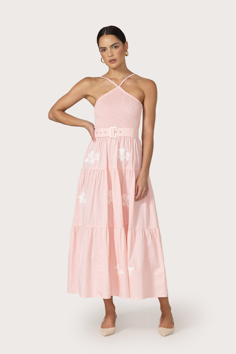Arlen Maxi Dress in Orchid Stripe Embroidery