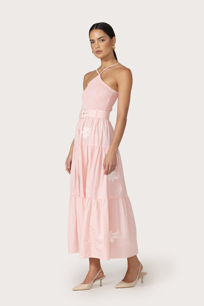 Arlen Maxi Dress in Orchid Stripe Embroidery