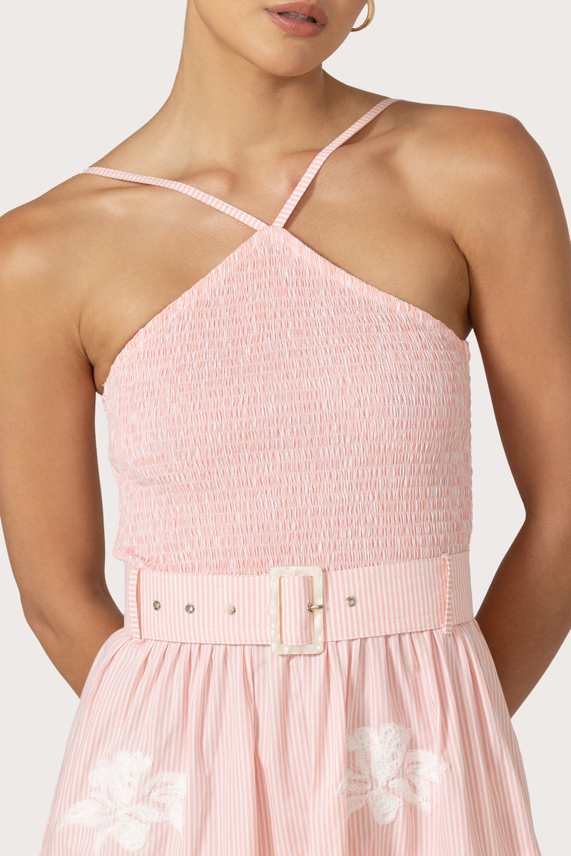 Arlen Maxi Dress in Orchid Stripe Embroidery