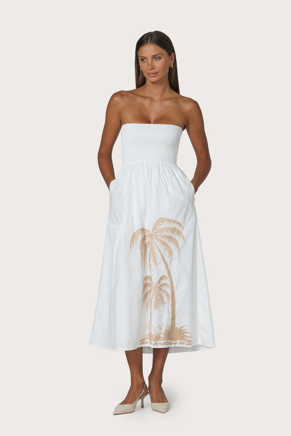 Dion Strapless Embroidered Dress