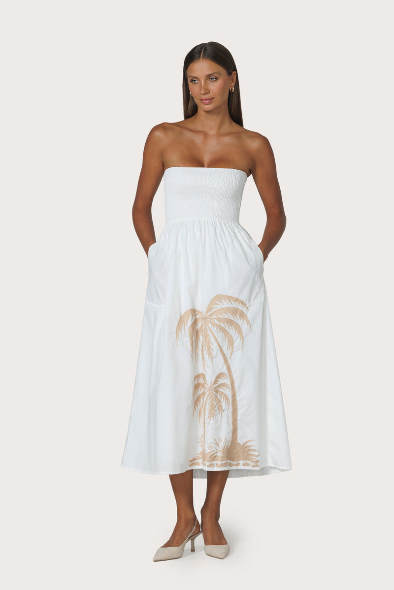 Dion Strapless Embroidered Dress